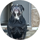 hirtea vlad profile picture